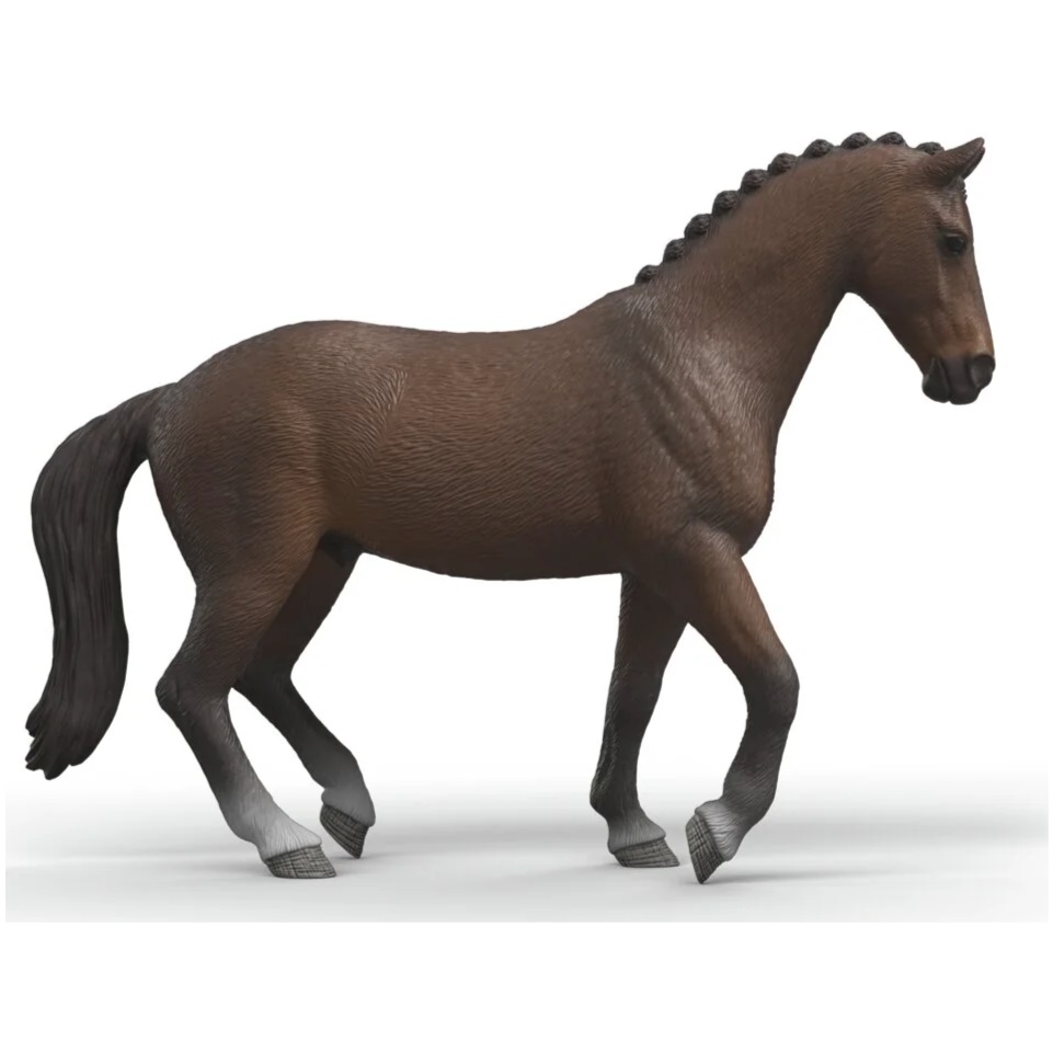 KWPN Gelding - Image 1