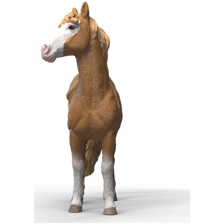 Mustang Mare - Image 1