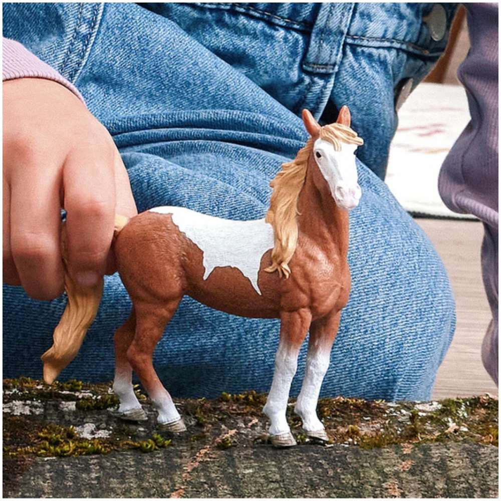 Mustang Mare - Image 3