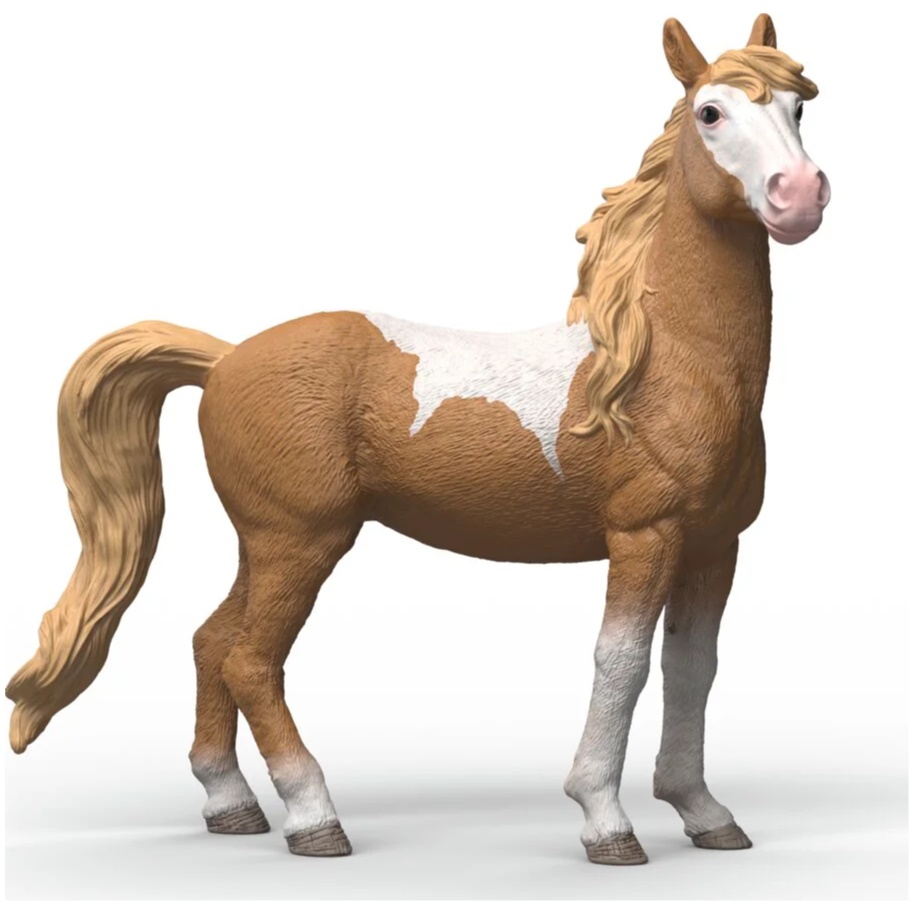 Mustang Mare