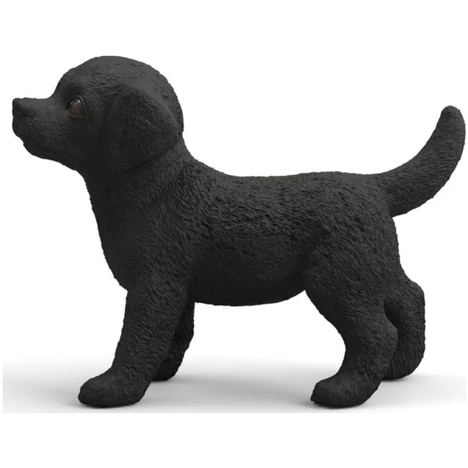Black Labrador Puppy - Image 1