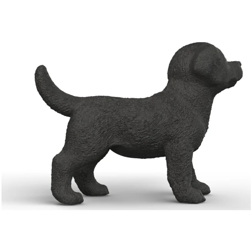 Black Labrador Puppy - Image 2