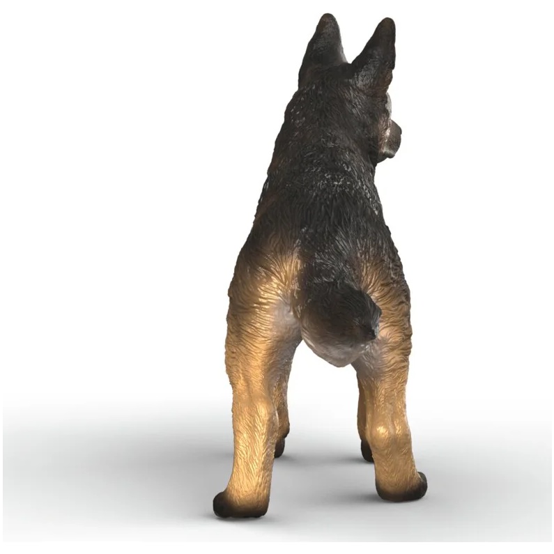 German Shepherd, Female - Image 2