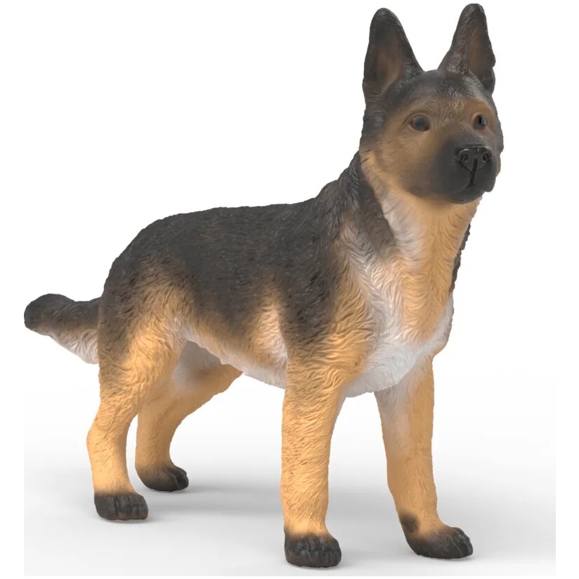German Shepherd, Female