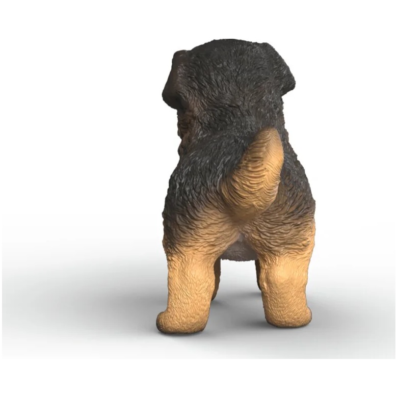 German Shepherd Puppy - Image 2