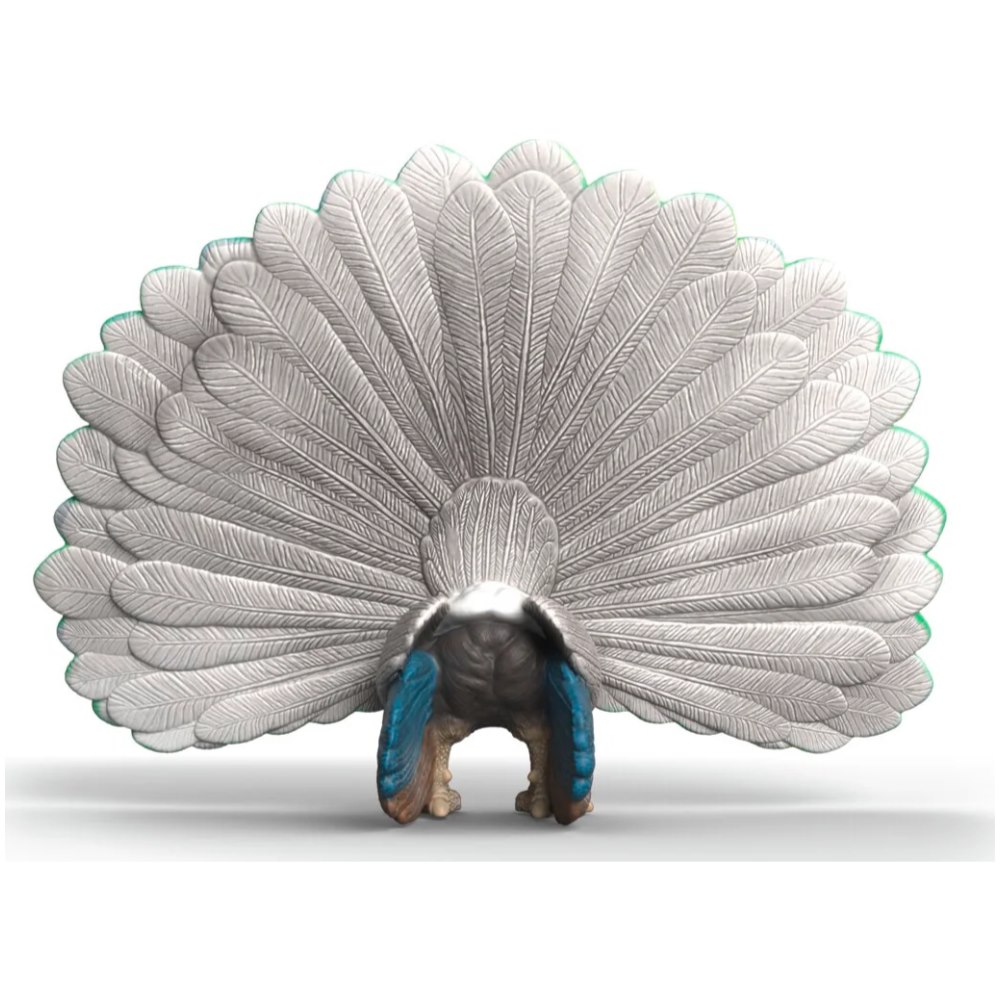 Peacock - Image 2