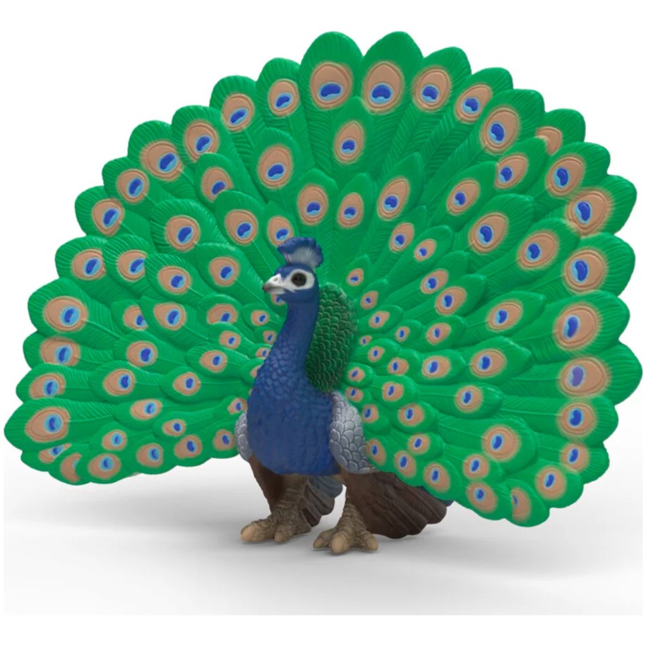 Peacock