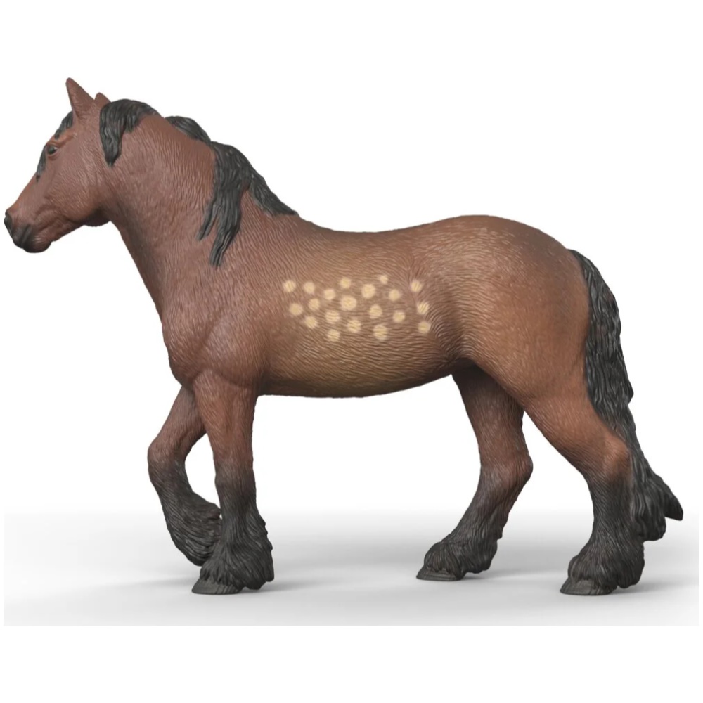 North Swedish Cold Blooded Mare - Image 2