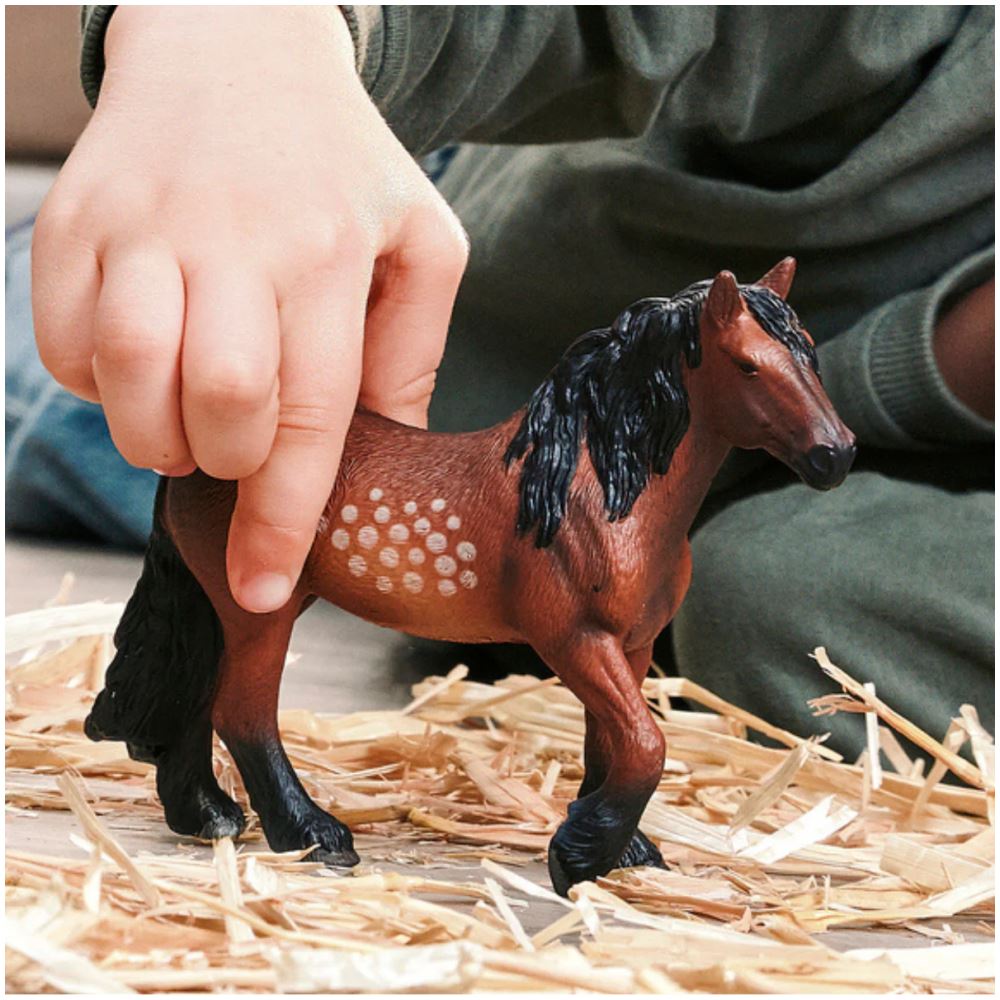 North Swedish Cold Blooded Mare - Image 3