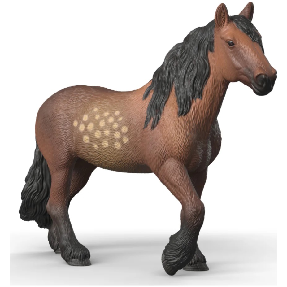 North Swedish Cold Blooded Mare