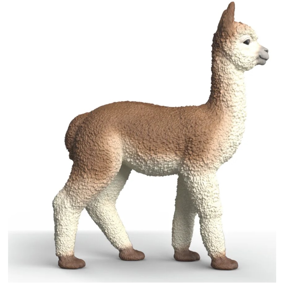 Alpaca - Image 1