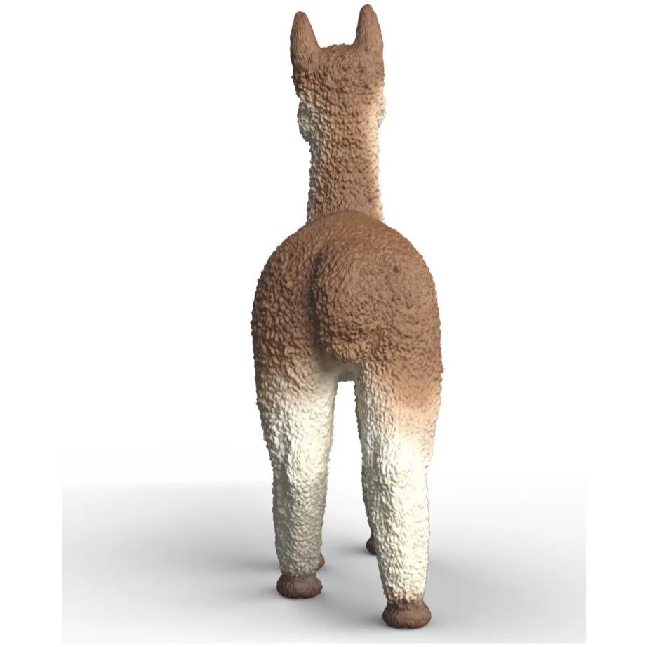 Alpaca - Image 2