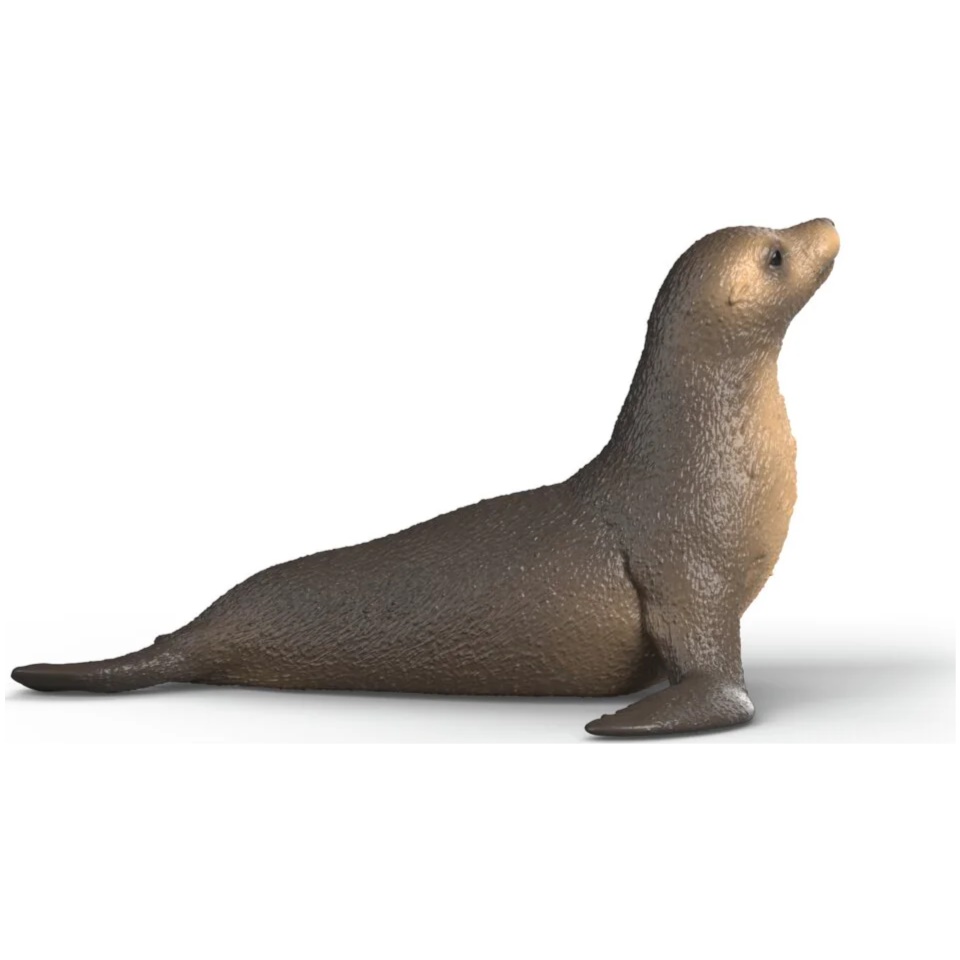 Sea Lion - Image 1