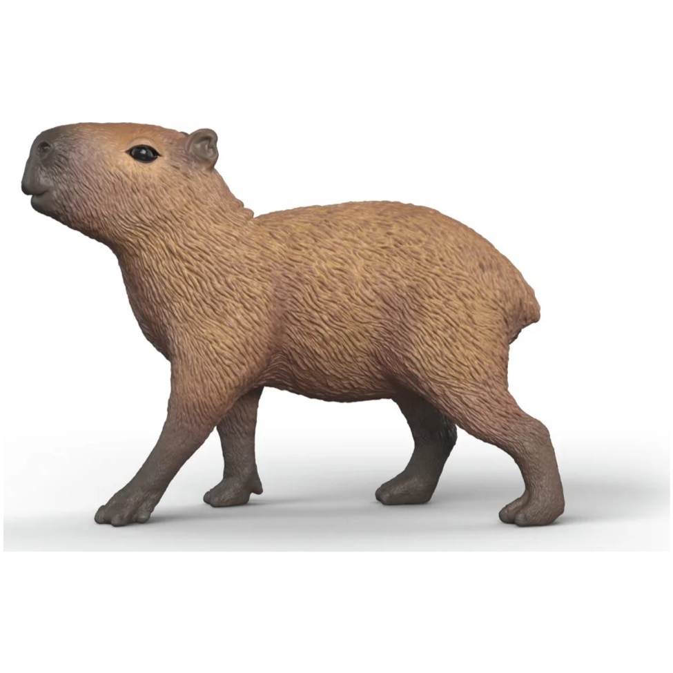 Capybara - Image 2