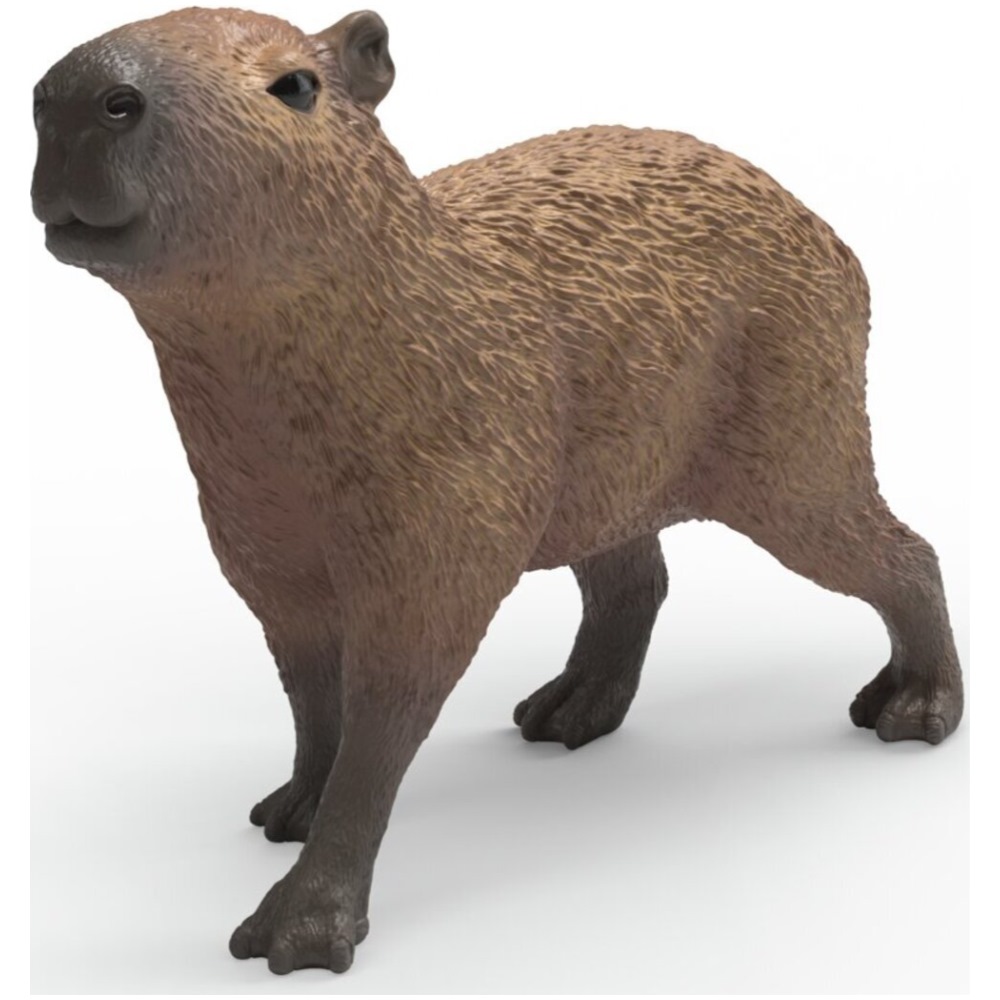 Capybara