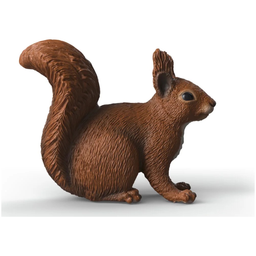 Red Squirrel - Image 1
