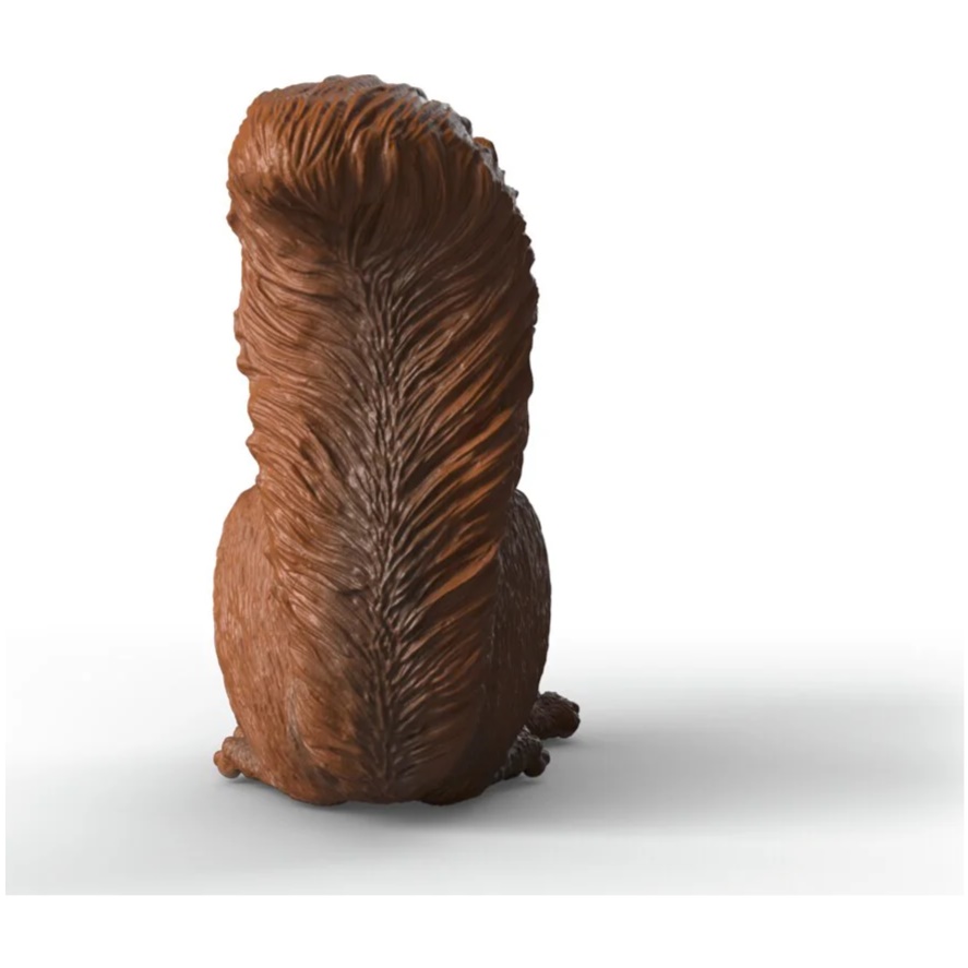 Red Squirrel - Image 2