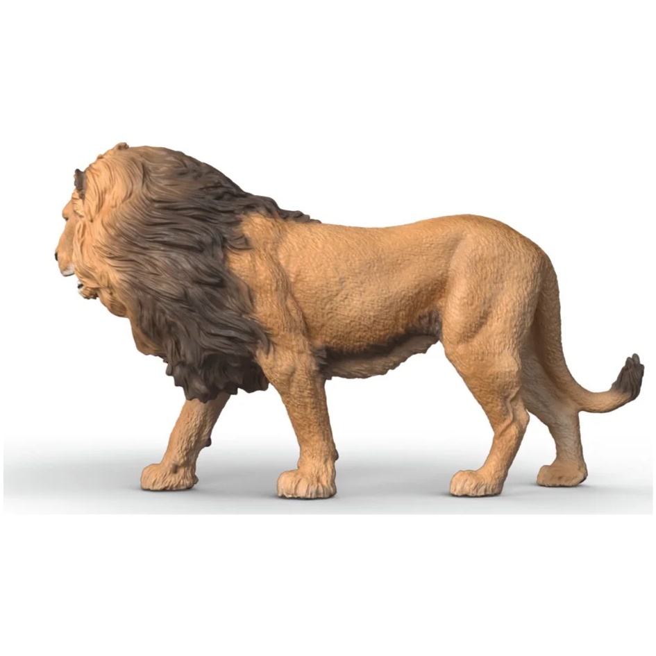 African Lion - Image 2