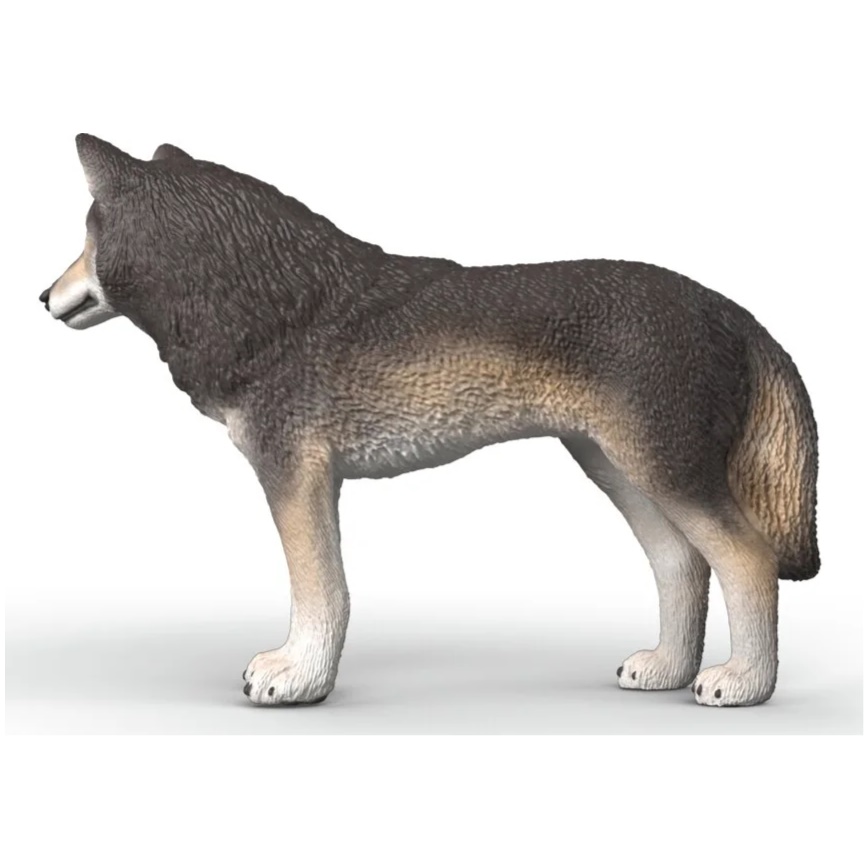 American Wolf - Image 1