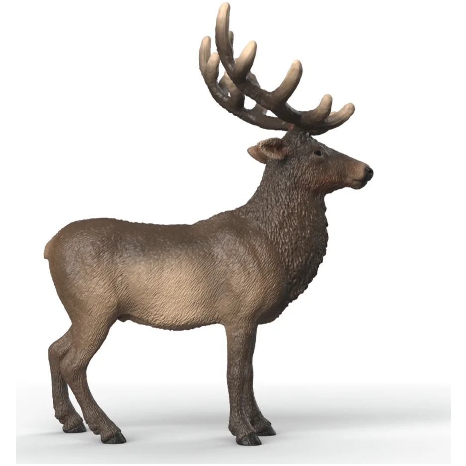 Elk - Image 1