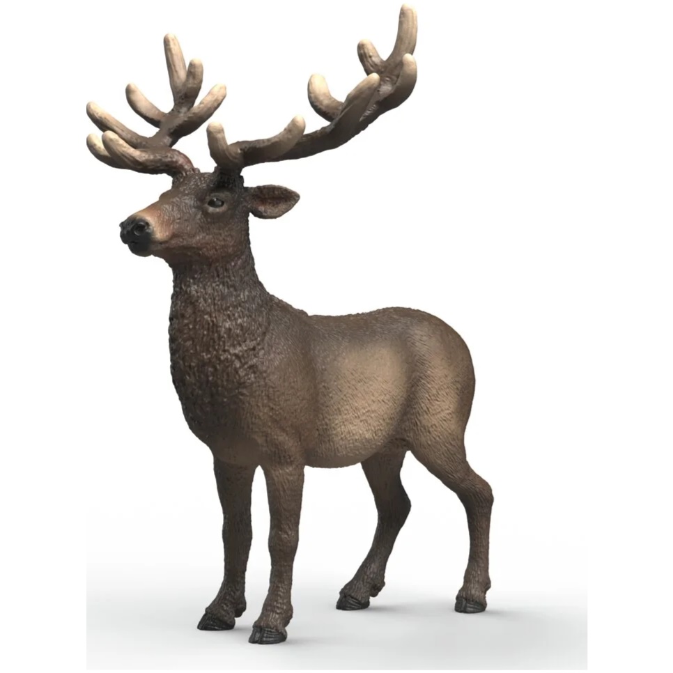 Elk