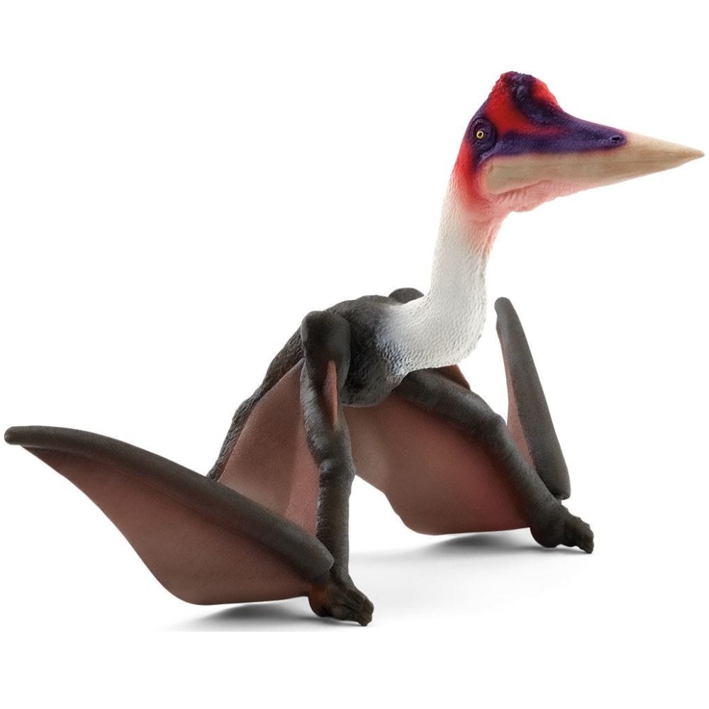 Quetzalcoatlus - Image 2