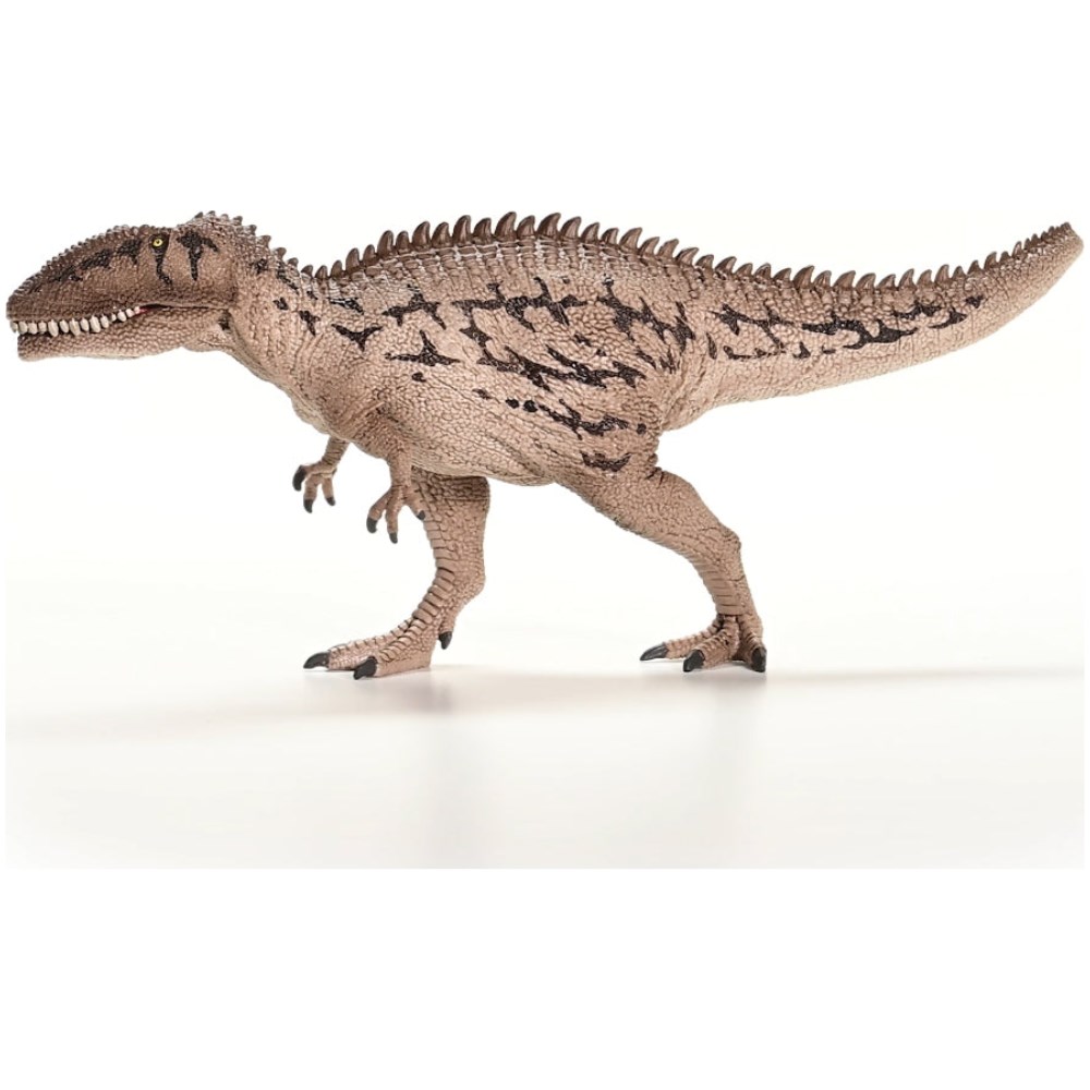 Carcharodontosaurus - Image 3