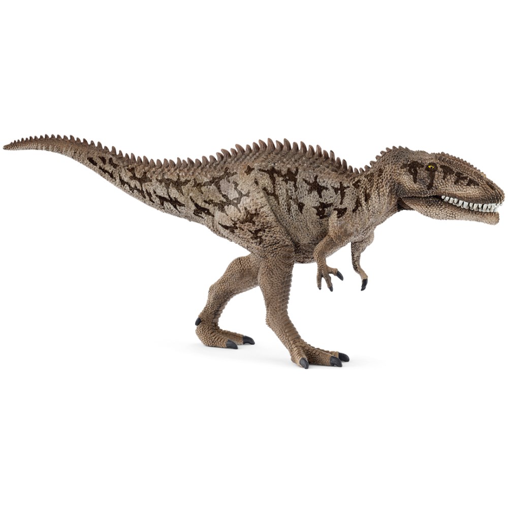 Carcharodontosaurus