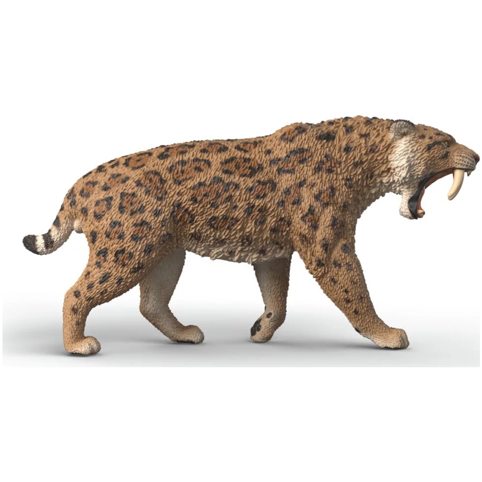 Smilodon (Sabre-Tooth Tiger) - Image 1
