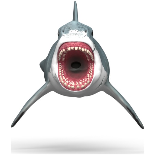 Megalodon - Image 1