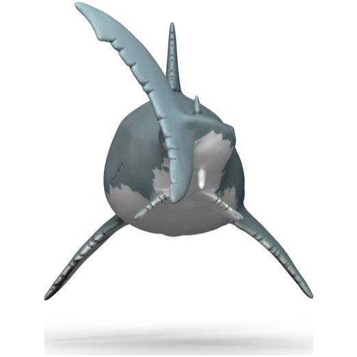 Megalodon - Image 2