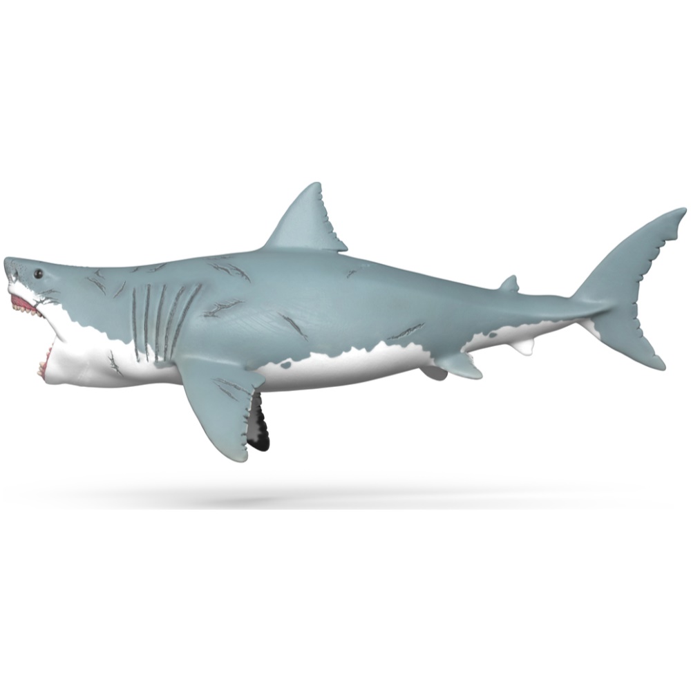 Megalodon - Image 3