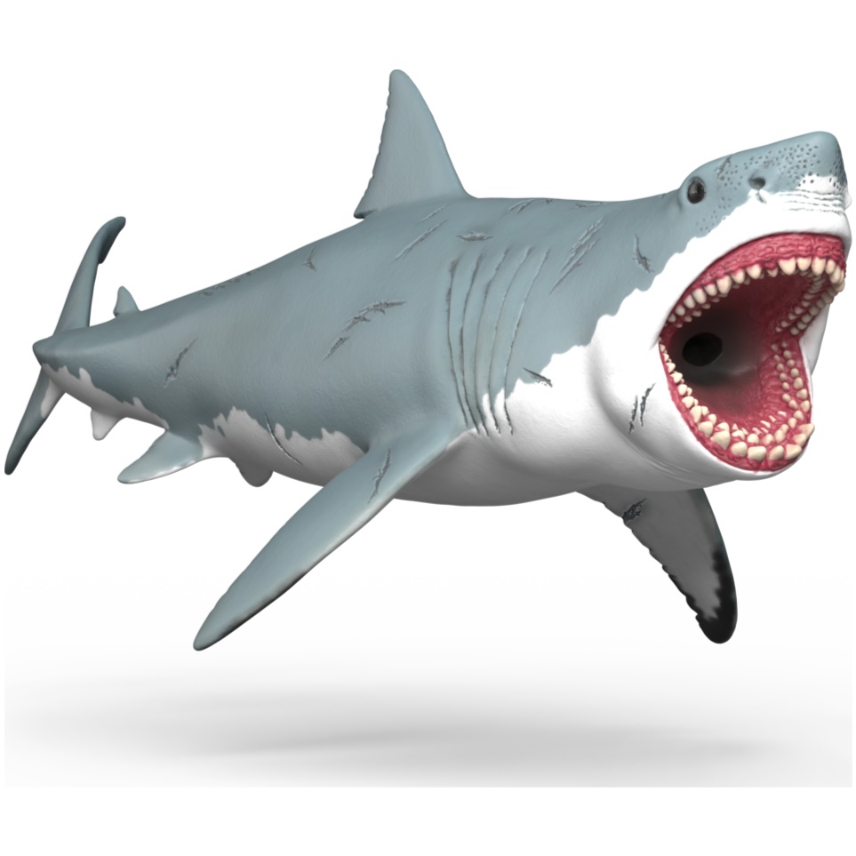 Megalodon