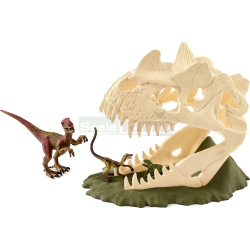 Large Skull Trap with Velociraptor, Compsognathus and Lizard