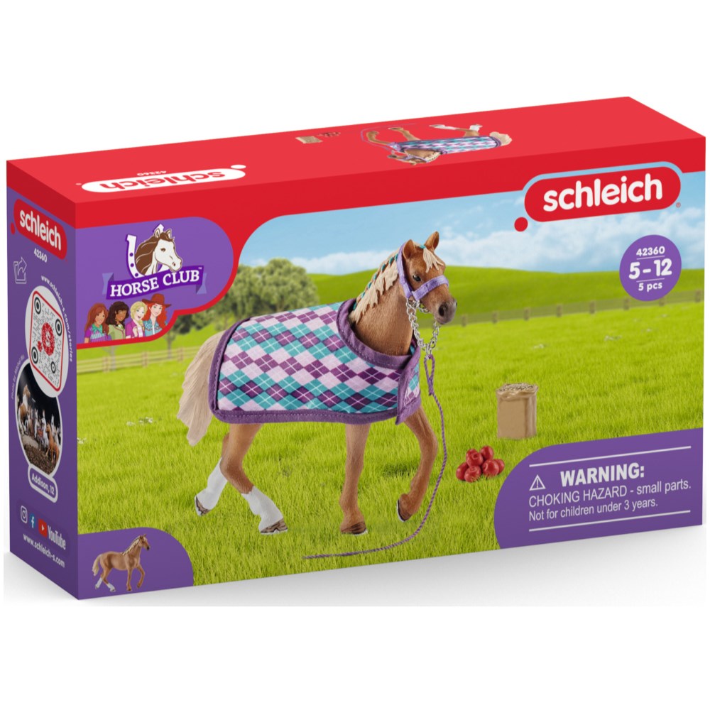 English Thoroughbred with Blanket and Accessories - Image 2