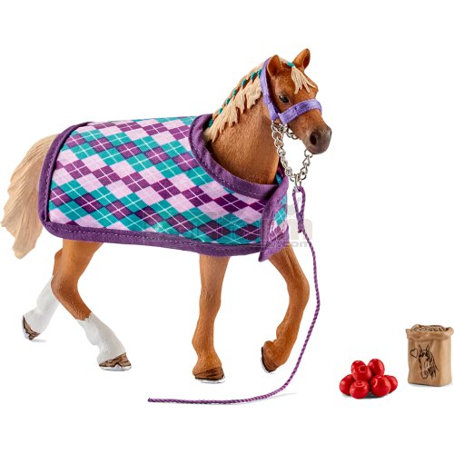 English Thoroughbred with Blanket and Accessories