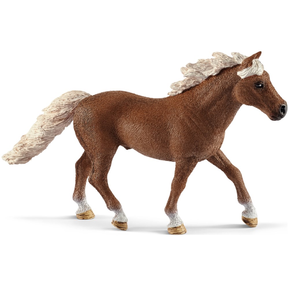 Pony Agility Training Set - Image 2