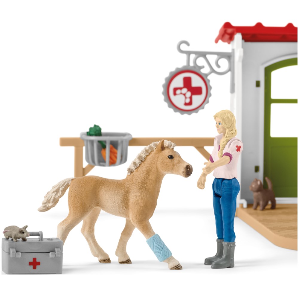 Veterinarian Practice Set - Image 5