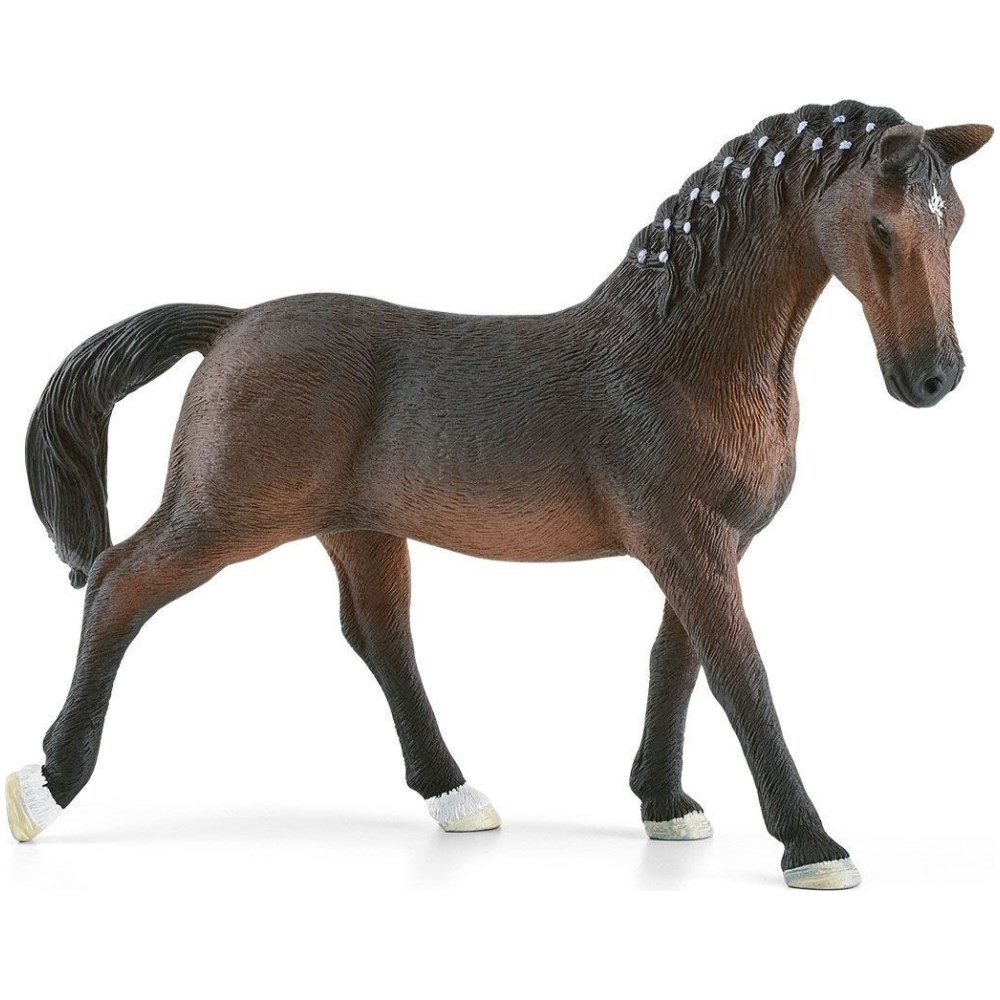 Horse Riding Store - Image 14