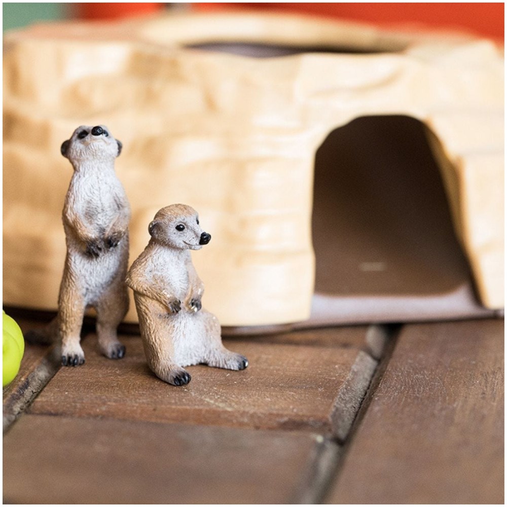 Meerkat Hangout - Image 2