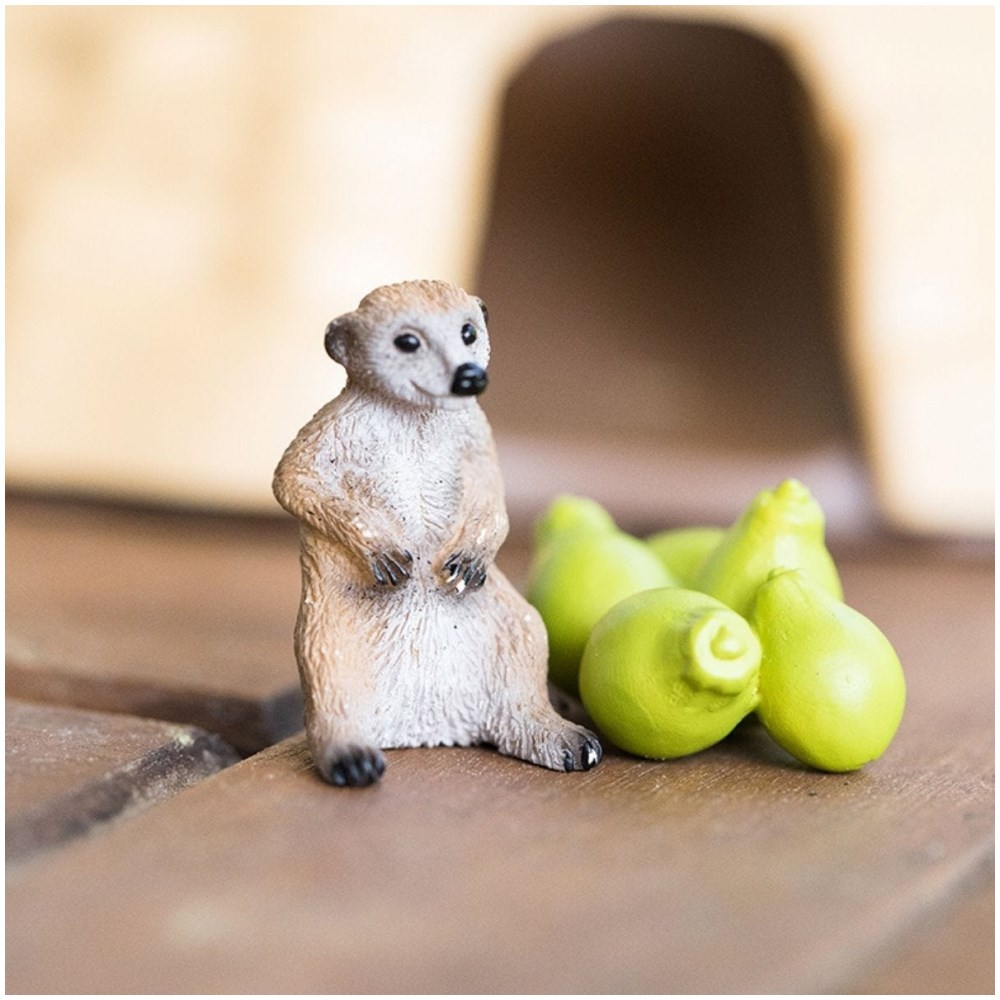 Meerkat Hangout - Image 3