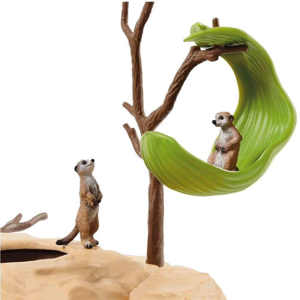 Meerkat Hangout - Image 7