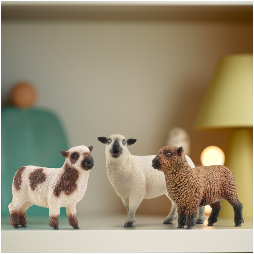 Sheep Friends - Image 5