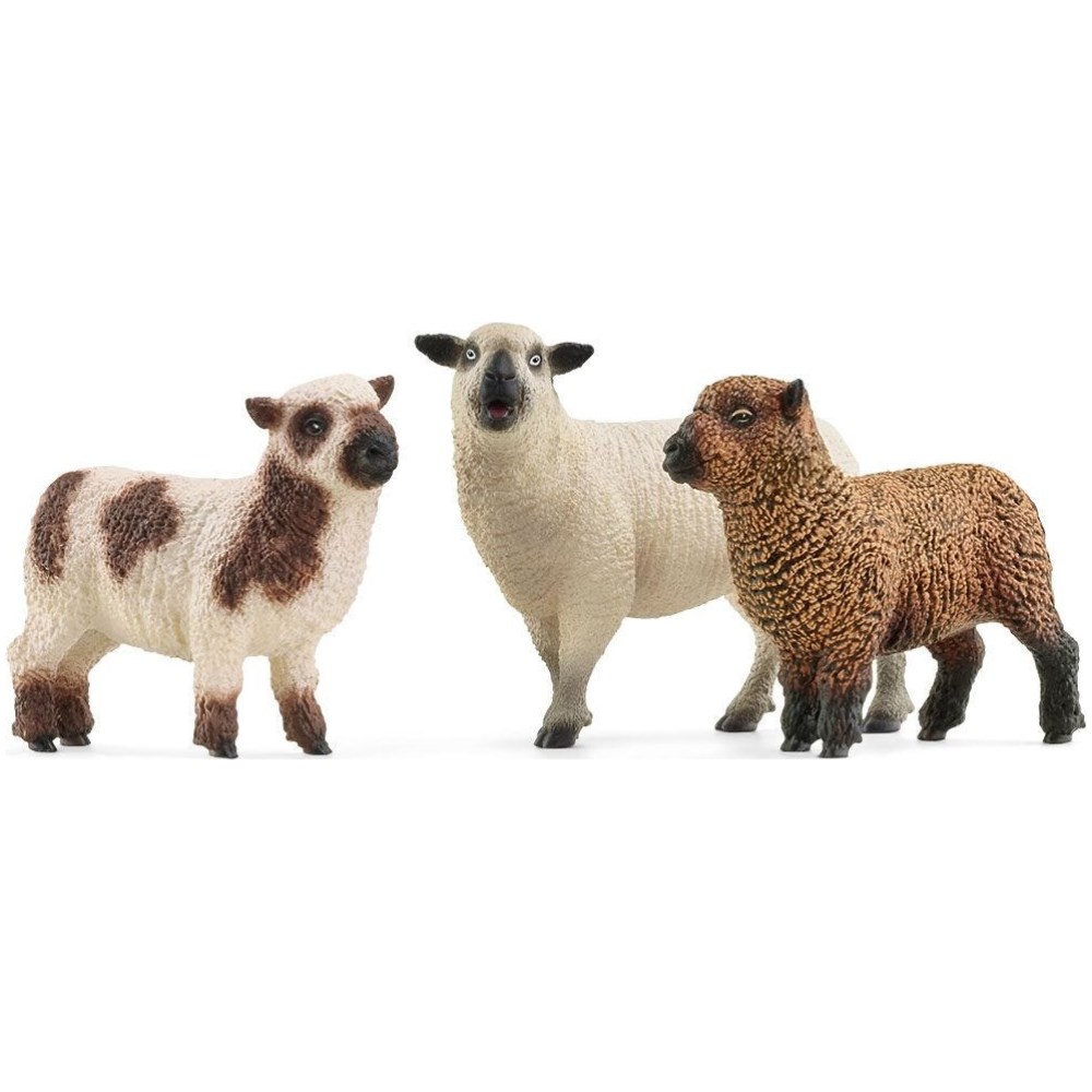 Sheep Friends