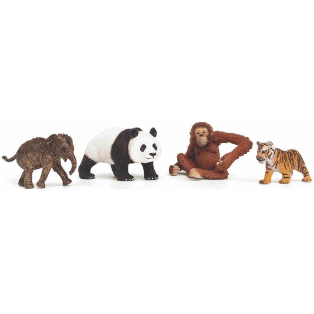 Wild Life Starter Set - Asia