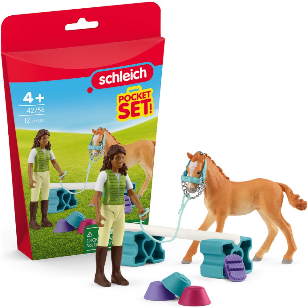 Training Set for Foal - Image 1