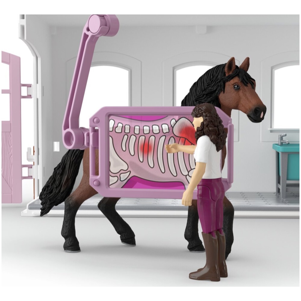 Happy Horse Hospital - Image 3