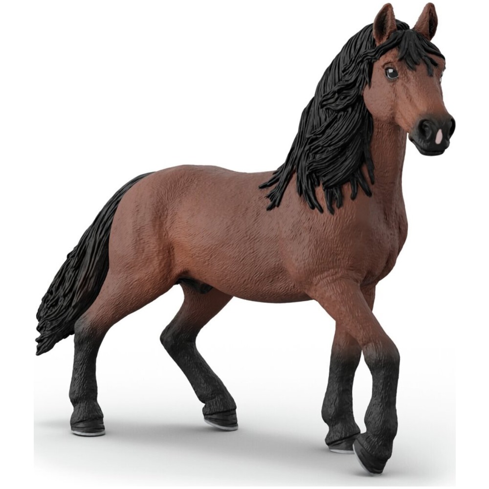 Happy Horse Hospital - Image 7