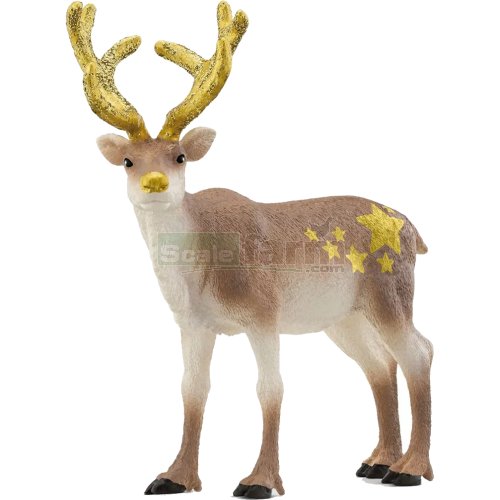 Reindeer Christmas 2023