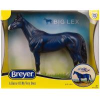 Preview Big Lex - Decorator Thoroughbred - Image 2
